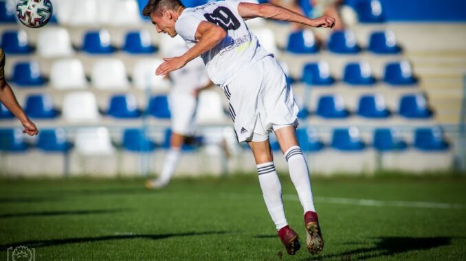 Játékos szemle